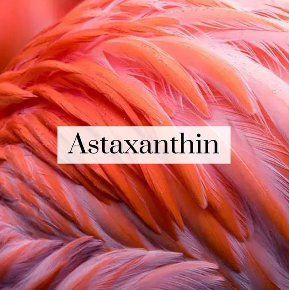 Astaxanthin = Cellular UV Defense